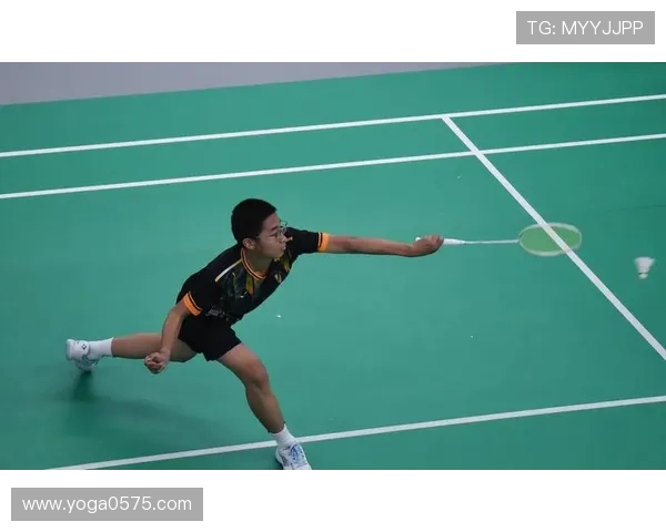 北京羽毛球队的节奏与风格分析探讨羽毛球运动的未来发展方向